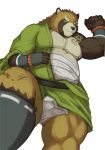  2020 absurd_res anthro asian_clothing balls balls_outline barely_visible_balls barely_visible_genitalia belly brown_body brown_fur bulge canid canine clothing east_asian_clothing fundoshi fur genital_outline genitals gyobu hi_res japanese_clothing kemono male mammal nipples raccoon_dog sige315 simple_background slightly_chubby solo tanuki tokyo_afterschool_summoners underwear video_games white_background 