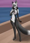  anthro areola aventis_vixxx balls black_and_white_fur blue_eyes breasts canid canine exhibitionism fox genitals hair herm hi_res intersex mammal multicolored_hair navel nipple_piercing nipples nude outside penis piercing sea solo two_tone_hair water 
