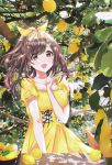  1girl asa blush bow brown_eyes brown_hair collarbone dress earrings eyebrows_visible_through_hair food fruit highres idolmaster idolmaster_shiny_colors jewelry leaf lemon long_hair open_mouth short_sleeves smile solo sunlight tree_branch tsukioka_kogane 