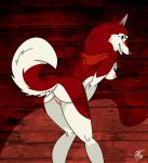  2020 anthro balto_(film) breasts butt canid canine canis domestic_dog erect_nipples female fur genitals grin hi_res husky jenna_(balto) kerchief kerchief_only leaning leaning_forward looking_at_viewer looking_back looking_back_at_viewer mammal mostly_nude neckerchief nipples nordic_sled_dog portrait presenting presenting_pussy pussy rear_view red_body red_fur smile solo spitz standing three-quarter_portrait unclescooter 