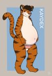  anthro belly big_belly blush domestic_cat expecting felid feline felis foreskin genitals hi_res kaydex male male_pregnancy mammal pantherine partially_retracted_foreskin penis pregnant presenting solo tiger uncut yiko_(artist) 