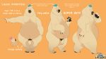  16:9 absurd_res anthro chubby_male genitals hi_res luccio_antartica male mammal model_sheet penis solo thatyellowrad ursid widescreen 