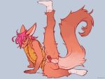  anthro balls bottomless clothed clothing fluffy fluffy_tail footwear genitals hair humanoid_genitalia humanoid_penis lawyerdog male mammal one_leg_up partially_clothed penis pink_hair raised_leg socks solo unknown_species 