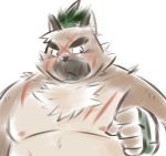  2020 anthro belly blush brown_body brown_fur canid canine canis domestic_dog fur hi_res humanoid_hands kemono male mammal mind_drive mizuse_higomaru moobs nipples overweight overweight_anthro overweight_male portrait scar simple_background sketch solo tokyo_afterschool_summoners video_games white_background yasuyori 
