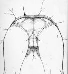  1girl ass blazblue bullet_(blazblue) cutoffs dr.p greyscale micro_shorts monochrome shorts solo through_wall 