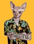  anthro clothed clothing crossed_arms domestic_cat felid feline felis floral_print hairless hairless_cat male mammal nikolaspascal orange_background shirt simple_background solo sphinx_cat tattoo tattooed_arms topwear 