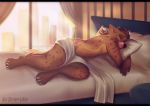  a&#039;wip_(charli_sox) absurd_res anthro arm_stripes bed bed_frame black_bars brown_body brown_fur brown_hair city cityscape convenient_censorship curtains curtains_open eyes_closed facial_scar fur furniture hair hi_res holding_object holding_pillow hyaenid large_tooth letterbox light male mammal missing_finger prick_ears scar sleeping slightly_chubby solo spots spotted_body spotted_fur spotted_hyena sunlight tlt_echelon white_sheets window 