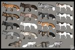  absurd_res ambiguous_gender arctic_fox black_border border brown_body brown_fur burgundy_fox canid canine chart countershading cross_fox digitigrade dipstick_tail educational english_text feral fluffy fluffy_tail fox fur grey_body grey_fox grey_fur group hi_res mammal marble_fox meme multicolored_tail mxgurl89 orange_body orange_eyes orange_fur pearl_fox platinum_fox quadruped red_fox reverse_countershading silver_fox simple_background text the_more_you_know urocyon white_body white_fur 