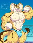  2019 5_fingers abs anthro beach biped blue_eyes blue_sky clothed clothing cobra day dialogue digital_media_(artwork) english_text fangs fingers hi_res looking_at_viewer male muscular muscular_anthro muscular_male navel partial_nudity reptile sarth scalie seaside sky snake solo speedo sport swimwear sxfpantera text thick_thighs topless volleyball 