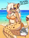  3:4 alexandra_(velocitycat) anthro beach bikini blush bodily_fluids canid canine canis cheetah clothing felid feline female fur hi_res looking_at_viewer mammal nicky_(character) nicky_illust scared seaside seductive solo spots spotted_body spotted_fur sweat swimwear wolf 