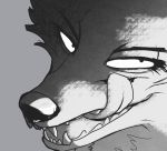  anthro black_and_white blood bodily_fluids canid canine disney famished_(artist) fox hi_res licking looking_at_viewer male mammal monochrome nick_wilde red_fox self_lick simple_background solo teeth tongue tongue_out zootopia 