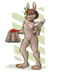 anthro baking baking_tray breasts clothing cookie feet female food genitals handwear icing icing_bag lagomorph leporid mammal nicnak044 nipples nude oven_mitts paws pinup pinup_pose pose pussy rabbit solo 