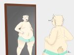  anthro belly boederman boxer_briefs boxers_(clothing) briefs bulge clothing grabbing_belly hi_res male mammal mirror navel overweight overweight_anthro overweight_male polar_bear slightly_chubby solo underwear ursid ursine 