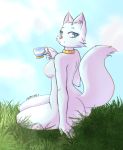  absurd_res anthro areola blue_eyes breasts collar detailed_background disney domestic_cat duchess facial_tuft felid feline felis female fluffy fluffy_tail fur grass hi_res looking_at_viewer mammal nipples nude pink_areola pink_nose signature sitting sky smile solo the_aristocats umine white_body white_fur 