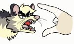  11natrium 2020 2_frame_animation 5:3 ambiguous_gender animated didelphid duo feral humanoid humor low_res mammal marsupial open_mouth pinch sharp_teeth short_playtime simple_background snarling teeth whiskers white_background wide_eyed 