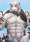  &lt;3 abs arknights blue_background blue_eyes clothed clothing clothing_lift dog_tags felid fur hair hi_res liuoie2 looking_at_viewer male mammal mountain_(arknights) muscular muscular_male nipples pantherine pecs scar simple_background solo striped_body striped_fur stripes tiger underwear underwear_down white_body white_fur 