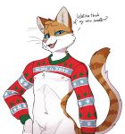  absurd_res anthro artbyyellowdog blue_eyes bottomless chest_tuft christmas christmas_clothing clothed clothing crotch_lines crotch_tuft domestic_cat felid feline felis hi_res holidays ineffective_clothing male mammal navel nico_(artbyyellowdog) nipples simple_background smug solo sweater toned_body topwear tuft whiskers white_background wide_hips 