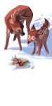 2020 antlers bambi bambi_(film) brown_body brown_fur capreoline cervid disney duo feral fur hi_res horn light lighting looking_at_another mammal outside quadruped snow the_great_prince_of_the_forest tohupo white-tailed_deer 