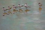  ambiguous_gender avian bird feral greater_crested_tern group lari larid painting_(artwork) reflection tern traditional_media_(artwork) water watercolor_(artwork) wildartguy 