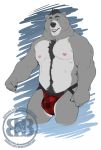  2020 anthro asher_(bruteandbrawn) barazoku belly black_hair black_nose black_pubes blue_eyes body_hair bruteandbrawn bulge clothed clothing digital_media_(artwork) eyebrows fingers front_view fur grey_body grey_fur grin hair happy_trail hi_res jacket jockstrap looking_at_viewer male mammal multicolored_body multicolored_fur musclegut navel nipples open_mouth pecs pinup pose pubes red_clothing red_jacket red_jockstrap red_topwear simple_background slightly_chubby smile solo standing topless topwear two_tone_body two_tone_fur underwear ursid watermark 