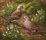  ambiguous_gender avian bird branch columbid duo feral flower grass oil_painting_(artwork) painting_(artwork) pigeon pink_pigeon plant traditional_media_(artwork) yana_movchan yellow_eyes 