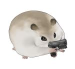  aiming animal_focus beretta_px4 black_eyes blank_eyes commentary_request finger_on_trigger full_body gun hamster handgun holding holding_gun holding_weapon korean_commentary no_humans original pistol simple_background tto_ja weapon white_background 