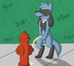  2020 anthro black_body black_fur blue_body blue_fur bodily_fluids canid canine canis collar cute_expression cute_face domestic_dog eyes_closed fire_hydrant fluffy fluffy_tail fur genital_fluids genitals happy holding_penis hydrant male mammal nintendo omorashi open_mouth open_smile outside paws peeing penis pok&eacute;mon pok&eacute;mon_(species) potty_training practice public_urination relaxing relief relieve relieved riolu ritzcat smile solo standing urine urine_puddle video_games wet wetting 