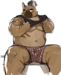  2020 absurd_res anthro belly brown_body brown_fur canid canine canis clothing cute_fangs domestic_dog fur hi_res kemono kita_9999 male mammal moobs navel scar shirt sitting solo tokyo_afterschool_summoners topwear underwear undressing video_games yasuyori 