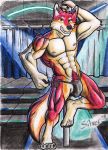  anthro bleiz bulge canid canine canis clothing club_(disambiguation) dancing genitals hi_res male mammal muscular muscular_anthro muscular_male nipple_piercing nipples penis piercing pole pole_dancing silverferak solo stage stripper teasing thong traditional_media_(artwork) underwear wolf 