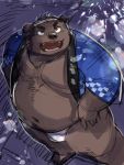  2020 3:4 absurd_res anthro belly brown_body brown_fur bulge clothing fireworks fur happi_(clothing) hi_res kemono kita_9999 male mammal navel outside overweight overweight_anthro overweight_male solo underwear ursid 