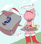  amy_rose anthro clothing dialogue duo ethan64 female macro male male/female micro panties sonic_the_hedgehog sonic_the_hedgehog_(series) speech_bubble underwear upskirt 