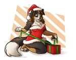  anthro bernese_mountain_dog canid canine canis christmas christmas_clothing christmas_headwear clothing costume domestic_dog female gift gift_box gift_wrapped hat headgear headwear holidays lingerie mammal molosser mountain_dog nicnak044 pinup pinup_pose pose santa_costume santa_hat solo swiss_mountain_dog 