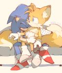  2020 anthro blue_eyes c52278 canid canine clothing dated duo eulipotyphlan eyes_closed footwear fox fur furniture gloves handwear hedgehog hi_res holding_object hug male mammal miles_prower sandals simple_background sitting socks sofa sonic_the_hedgehog sonic_the_hedgehog_(series) video_games 