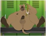  anthro anus balls belly bench biceps big_balls big_butt biped border brown_body brown_fur butt canid canine canis clothing domestic_dog erection feet foreskin fur genitals hi_res holding_clothing holding_object humanoid_genitalia humanoid_penis jockstrap k0suna locker locker_room looking_at_viewer male mammal muscular muscular_anthro muscular_male nipples nude on_bench one_eye_closed overweight overweight_anthro overweight_male pecs penis pit_bull pj_(pittiepj) presenting presenting_hindquarters slightly_chubby smile solo thick_penis thick_thighs tongue tongue_out uncut underwear white_border wink 