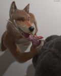  2019 4:5 absurd_res animal_genitalia animal_penis anthro anthro_on_anthro biped bodily_fluids bukkake canid canine canine_penis canis cum cum_in_mouth cum_inside cum_on_face cumshot cumshot_in_mouth digital_media_(artwork) duo ejaculation erection fenwolf first_person_view genital_fluids genitals green_eyes hand_on_penis hi_res kneeling knot knot_grab licking looking_at_viewer male male/male mammal masturbation oral orgasm penile penile_masturbation penis penis_lick red_wolf sex tongue tongue_out view_from_above virtyalfobo wolf 