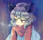  1girl animal_ears bangs blue_capelet breath capelet commentary_request grey_hair mouse_ears mouse_girl nazrin red_scarf scarf short_hair sideways_glance solo tomobe_kinuko touhou upper_body 