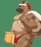  2020 absurd_res anthro belly black_nose brown_body brown_fur bulge canid canine canis christmas christmas_clothing christmas_headwear clothing dick_in_a_box domestic_dog fur genitals green_background hat headgear headwear hi_res holidays jumperbear kemono male mammal moobs nipples overweight overweight_anthro overweight_male penis santa_hat simple_background solo tokyo_afterschool_summoners underwear video_games yasuyori 