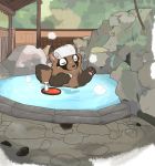  2020 bathing brown_body brown_fur canid canine detailed_background eyes_closed feral fur hi_res kemono mammal outside paws raccoon_dog solo tanuki tinntira towel water 