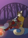  2020 3:4 4_toes 5_fingers anthro canid canine canis clothed clothing coyote detailed_background digital_media_(artwork) fingers mammal night outside sitting smile solo ticl toes 