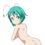  1girl antennae ass back cato_(monocatienus) commentary_request completely_nude covering covering_breasts green_eyes green_hair looking_at_viewer looking_back nude simple_background solo touhou white_background wriggle_nightbug 