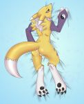  anthro black_pawpads black_sclera blue_eyes blush canid canine chest_tuft claws clothing dakimakura_design digimon digimon_(species) female fingers fox fur gloves handwear hi_res lying mammal markings p.v.su pawpads purple_markings renamon solo toe_claws tuft white_body white_fur yellow_body yellow_fur yin_yang 