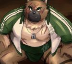  1boy bara bare_pecs belly black_eyes blush brown_fur bulge fang fox_boy furry green_jacket highres jacket loincloth male_focus muscle nipples open_clothes open_jacket pectorals plump sawch_cls scar scar_on_chest scar_on_forehead short_hair solo stomach sumo thick_eyebrows thighs tokyo_houkago_summoners track_jacket yasuyori_(tokyo_houkago_summoners) 