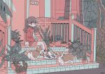  1girl bangs brown_hair cactus dog door expressionless highres leaf leash long_hair long_sleeves looking_at_viewer no_nose noeru_(noellemonade) original outdoors pink_eyes plant potted_plant red_shirt shirt shoes sitting socks solo stairs tree white_footwear white_legwear wide_shot 