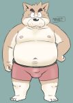  2020 anthro belly brown_body brown_fur bulge canid canine canis clothing domestic_dog fur kemono male mammal navel nipples overweight overweight_anthro overweight_male simple_background solo toshi_(artist) underwear 