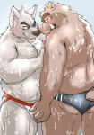  2020 belly blush brown_body brown_fur butt canid canine canis clothing domestic_dog fur grope hi_res humanoid_hands jockstrap kemono male male/male mammal overweight overweight_male poisonkinoko suid suina sus_(pig) underwear wet wild_boar 
