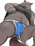  2020 3:4 absurd_res anthro belly brown_body brown_fur bulge butt canid canine canis clothing domestic_dog fur hi_res jockstrap kemono kita_9999 male mammal navel overweight overweight_anthro overweight_male shirt solo topwear underwear 