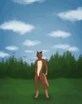  abs animated anthro athletic auction big_(disambiguation) canid canine canis deanwolfwood hi_res hulky male mammal musclegrowth muscular pecs sequence short_playtime solo transformation wolf 
