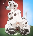  101_dalmatian_street 101_dalmatians 2020 after_sex animal_genitalia animal_pussy anthro anthrofied anus black_body black_fur bodily_fluids butt canid canine canine_pussy canis crossgender cum cum_in_ass cum_inside cum_on_feet dalmatian disney domestic_dog dylan_(101_dalmatians) female fur genital_fluids genitals hi_res looking_back mammal multicolored_body multicolored_fur pawpads penis psy101 pussy solo spots spotted_body spotted_fur tongue tongue_out white_body white_fur 