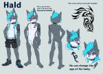  anthro athletic athletic_anthro athletic_male band-aid bandage blush bodily_fluids canid canine clothed clothing collar hald_(manadezimon) hi_res male mammal manadezimon model_sheet multiple_poses open_clothing open_topwear open_vest pecs pose solo sweat tattoo teenager topwear v-cut vest young 