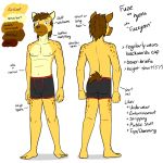  1:1 anthro boxer_briefs bulge clothed clothing english_text furgonomics fuze fuzeyeen hi_res hyaenid male mammal model_sheet navel nipples simple_background solo spotted_hyena text topless underwear underwear_only white_background 